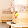 Сloakroom-detail